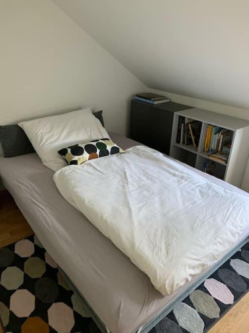 Wohnung Mit Einer Sauna Direkt Am Park Висбаден Экстерьер фото
